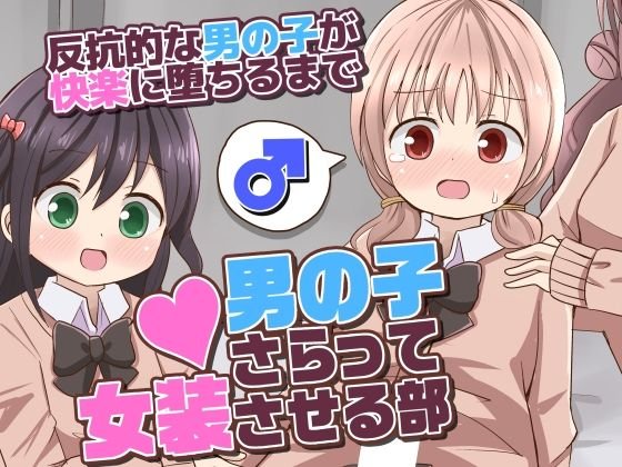 【JK×女装男子】男の子さらって女装させる部 ～反抗的な男の子が快楽に堕ちるまで～