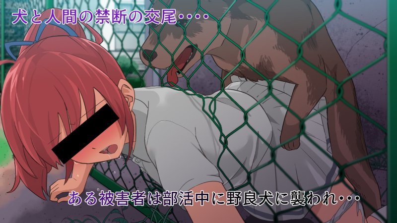 【犬×JC】獣姦事件記録 【犬×JC】獣姦事件記録