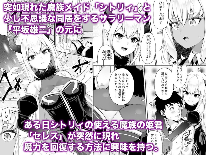 異世界メイドと1Rの主2 異世界メイドと1Rの主2