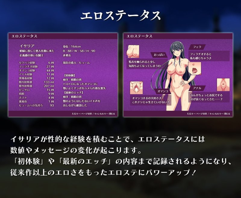 【女騎士快楽堕ちエロRPG】娯楽街ルーディルへの潜入 【女騎士快楽堕ちエロRPG】娯楽街ルーディルへの潜入
