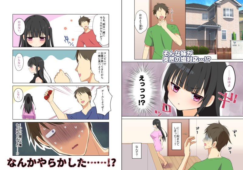 【兄×妹 近親相姦】妹は兄にハメられたい！～すれ違い兄妹がラブハメセックス漬けになるまでの話～