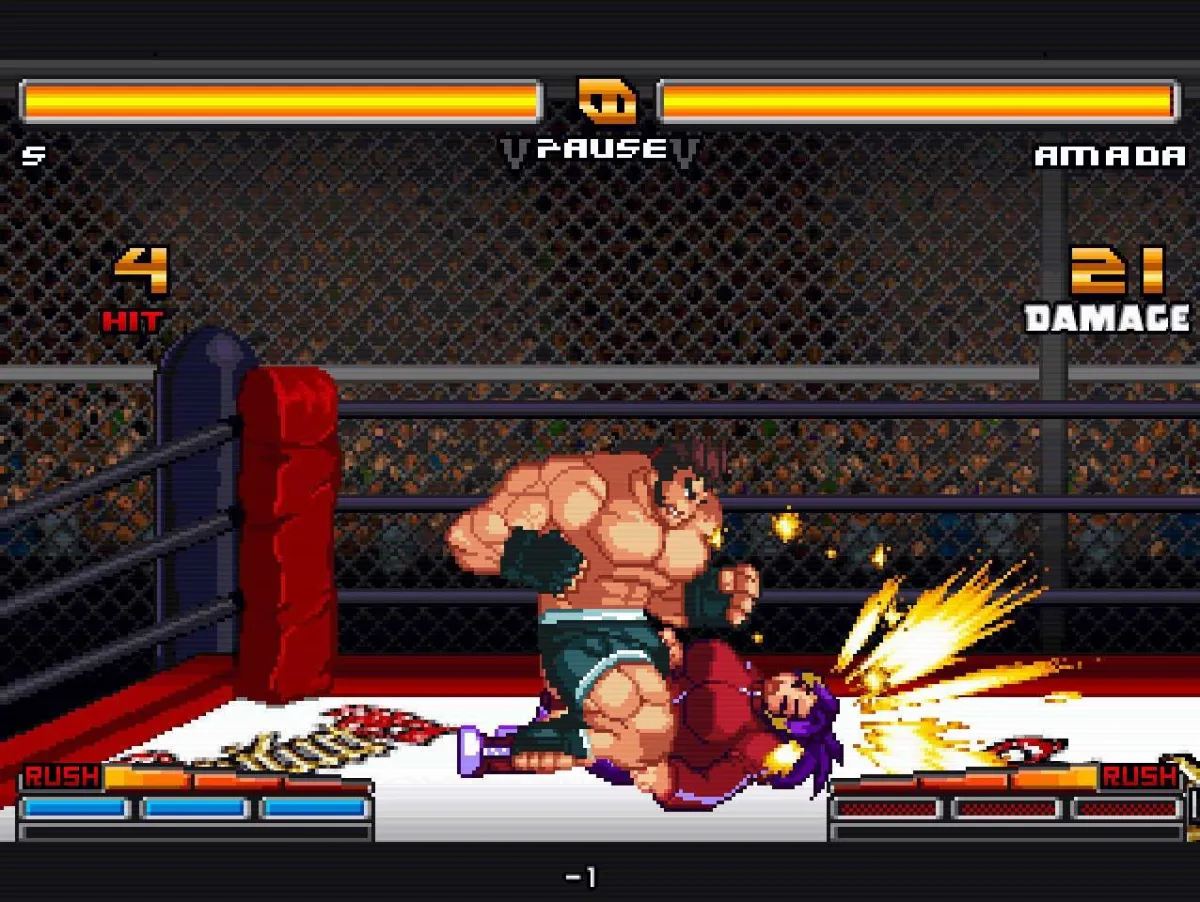 【鬼畜リョナエロドット格闘ゲーム】ストリップファイターZERO 【鬼畜リョナエロドット格闘ゲーム】ストリップファイターZERO