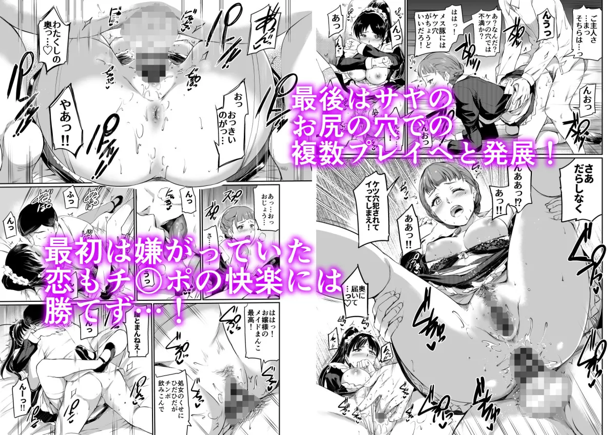 【メイドハーレム】葉月家のメイド事情