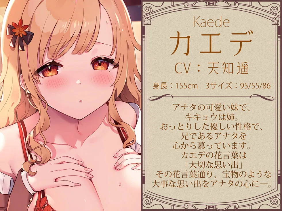 【CV:天知遥＆藍沢夏癒】耳舐めコンシェルジュ♪ 愛しきお兄様に至高の癒やしと快楽を【KU100バイノーラル】