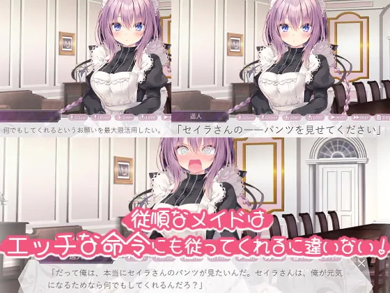【メイドエロADV】ご主人様、セイラに夢みたいないちゃラブご奉仕させていただけますか 【メイドエロADV】ご主人様、セイラに夢みたいないちゃラブご奉仕させていただけますか