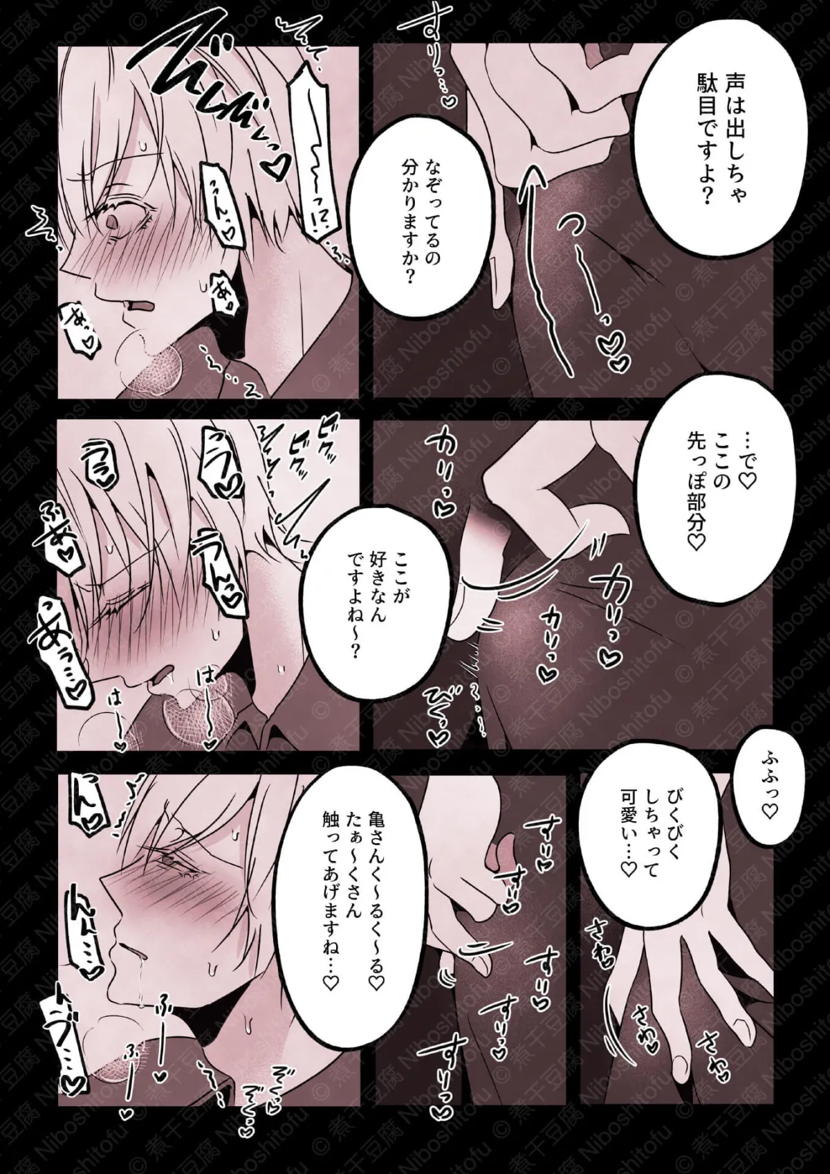 【シスター×青年 女性優位逆レイプ】今日も純情な弟はこの身を聖女に捧げる