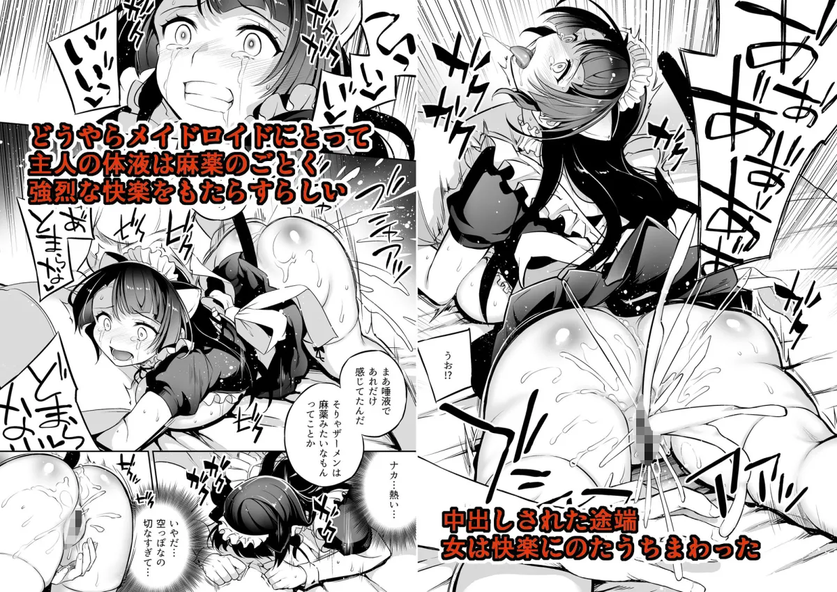 【ヒューマノイド寝取られ】ボクのメイドロイドがNTRれた