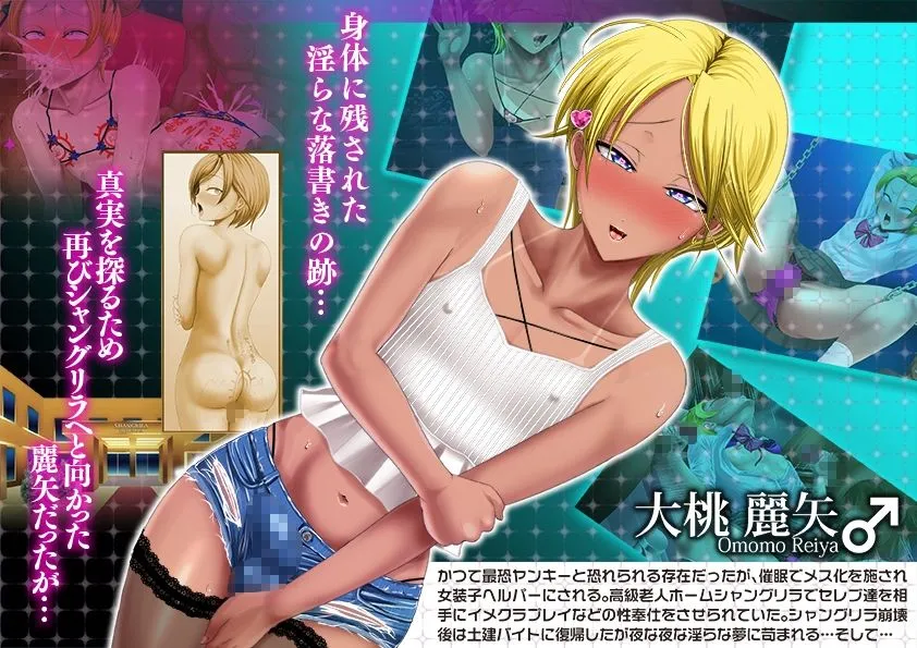 【男の娘】ヤンキー女装子ヘルパーVol.4 ~勃起妻 桃尻受精伝説~ 【男の娘】ヤンキー女装子ヘルパーVol.4 ~勃起妻 桃尻受精伝説~