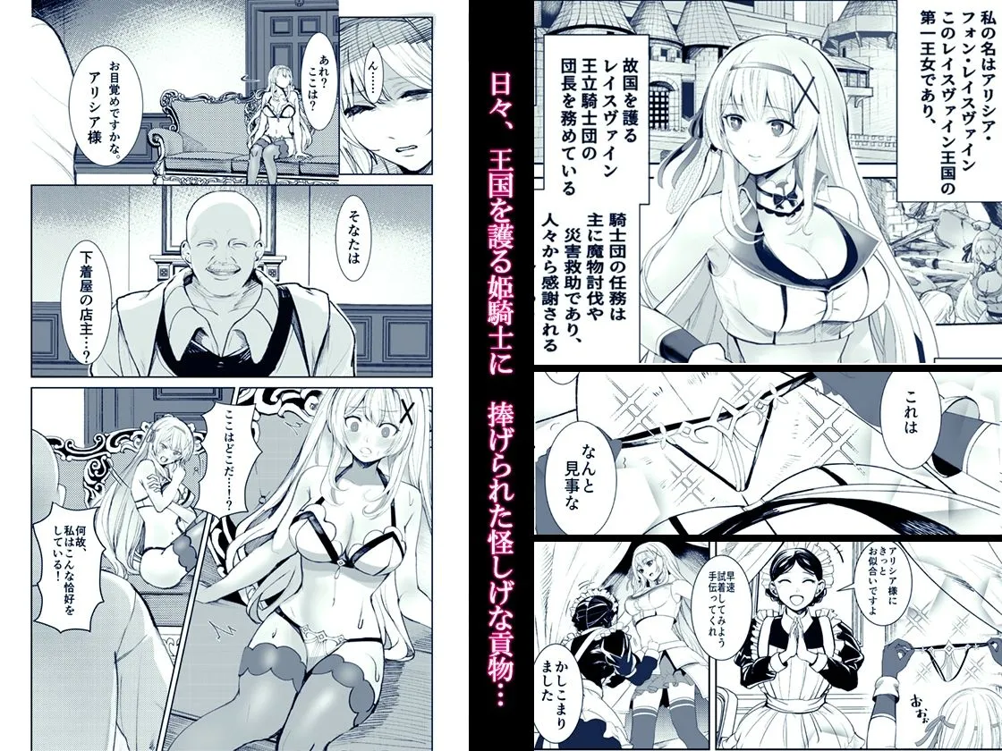 支配の淫紋 ―おっさん店主に淫紋を植え付けられて身も心も征服される姫騎士物語― 支配の淫紋 ―おっさん店主に淫紋を植え付けられて身も心も征服される姫騎士物語―