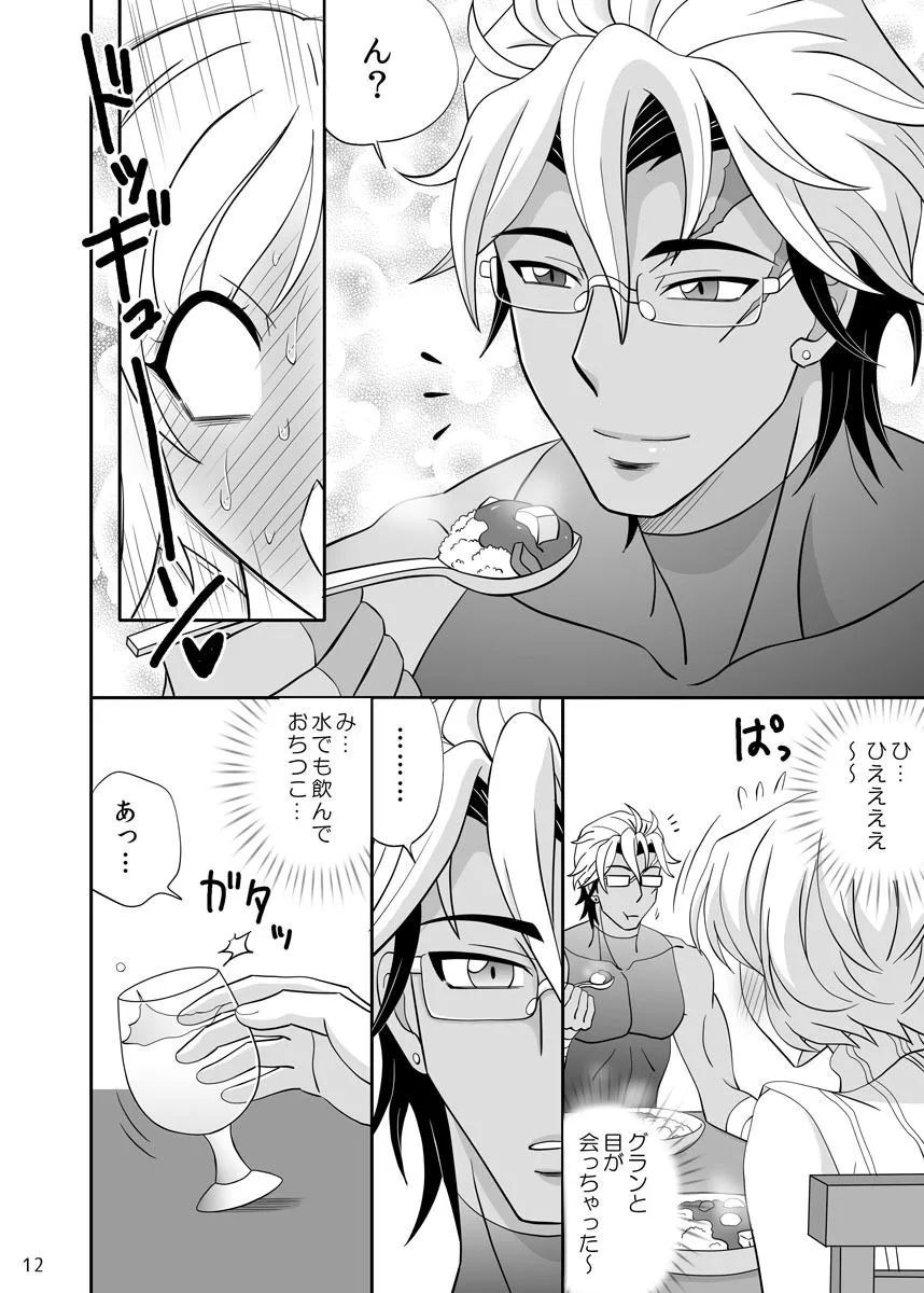 【夢職人と忘れじの黒い妖精 グランフレア】瞳を見つめ返して 【夢職人と忘れじの黒い妖精 グランフレア】瞳を見つめ返して