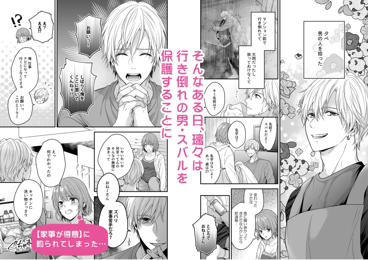 【家庭的青年×引きこもりブロガー】やたらと顔が良い年下のヒモを拾いました 【家庭的青年×引きこもりブロガー】やたらと顔が良い年下のヒモを拾いました