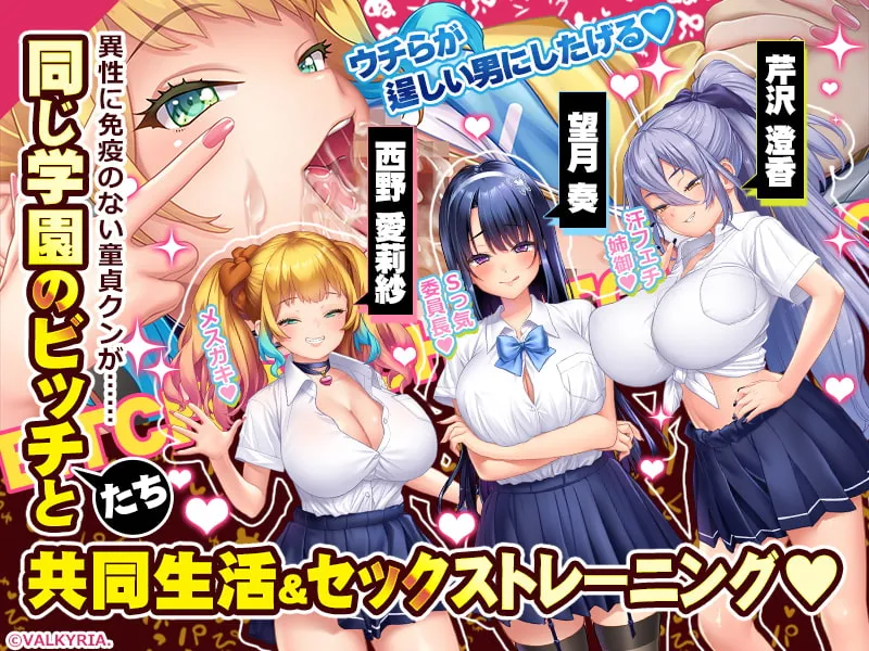 【ギャル×シェアハウス エロADV】ハーレムビッチハウス! 【DLsite限定特典付き】