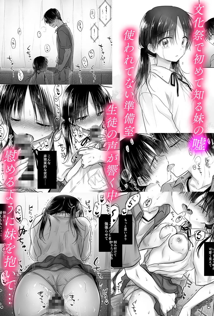 【兄×JK妹 近親相姦】おもいでせっくす総集編