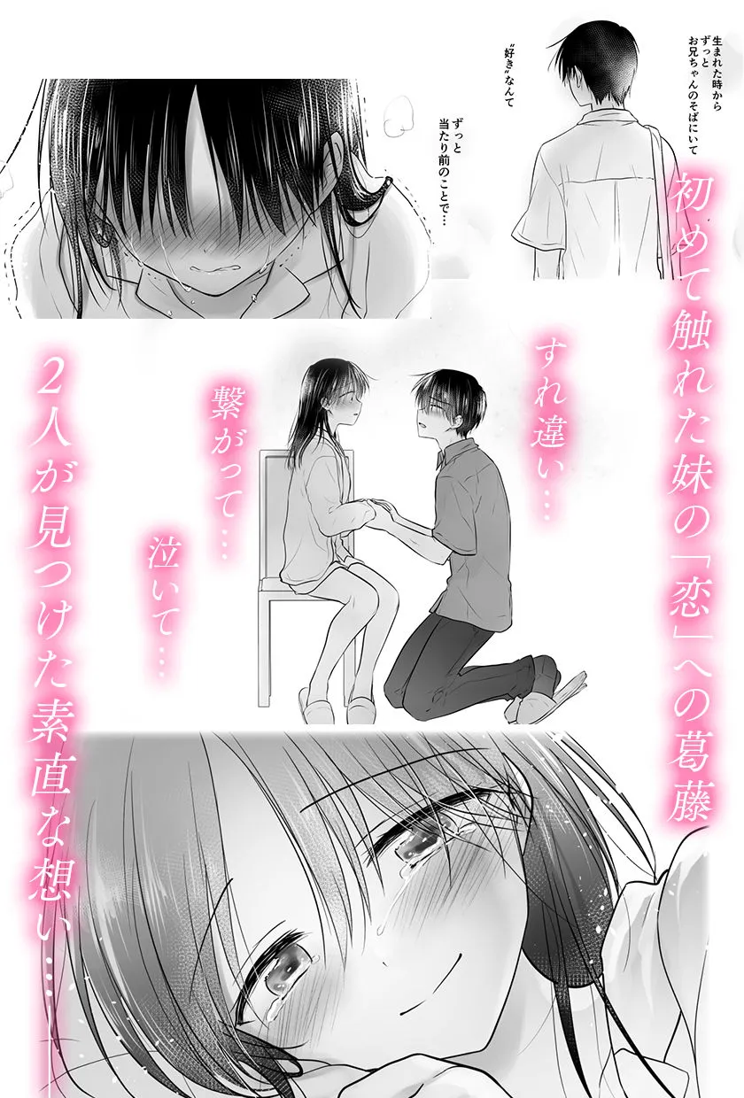 【兄×JK妹 近親相姦】おもいでせっくす総集編