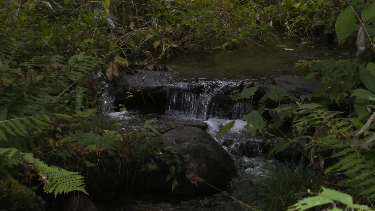 【耳恋なか＆葉月かなめ】耳舐め＆耳ふ～サンドイッチ ダウナー妹と低音姉【R-15癒し/CV:箱河ノアさま・耳恋なかさま】【葉月かなめ】