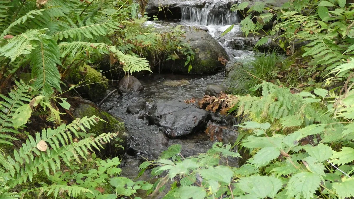 【耳恋なか＆葉月かなめ】耳舐め＆耳ふ～サンドイッチ ダウナー妹と低音姉【R-15癒し/CV:箱河ノアさま・耳恋なかさま】【葉月かなめ】