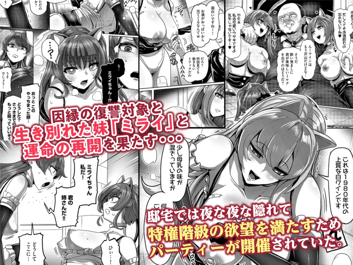 【ヒロインサイボーグ化＆姉妹丼＆快楽堕ち】エージェント夜を逝く～特権階級で復讐対象の竿役に調教され屈辱の快楽堕ちセックス～