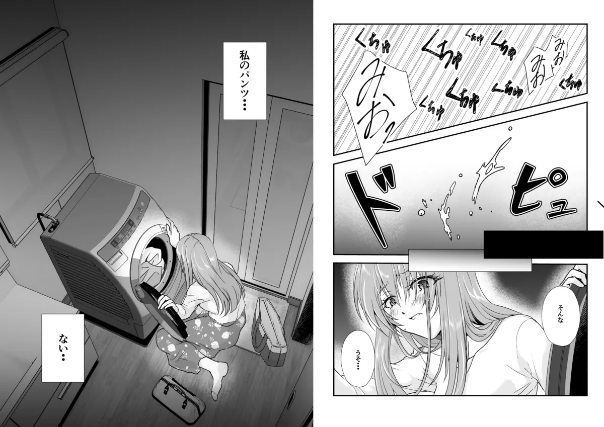 【義弟×姉 NTR】こんな弟、知らない~しっかり者で、優しくて。姉想いな(義)弟は私のことが大好きな変態でした~ 【義弟×姉 NTR】こんな弟、知らない~しっかり者で、優しくて。姉想いな(義)弟は私のことが大好きな変態でした~