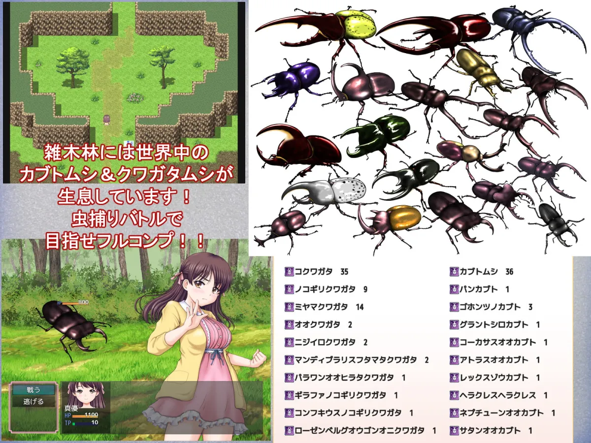 【JCロリ夏休みエロシミュレーションゲーム】あの楽しかった田舎での夏休みをもう一度…