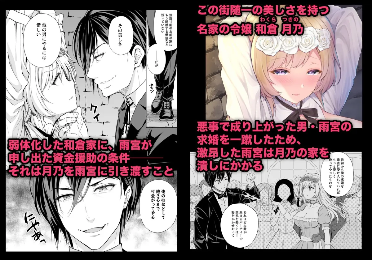 【令嬢凌辱】隷嬢の小夜曲 第一楽章