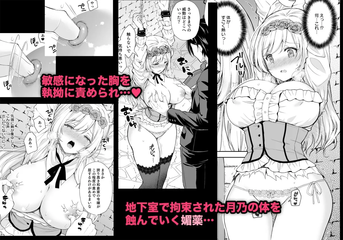 【令嬢凌辱】隷嬢の小夜曲 第一楽章