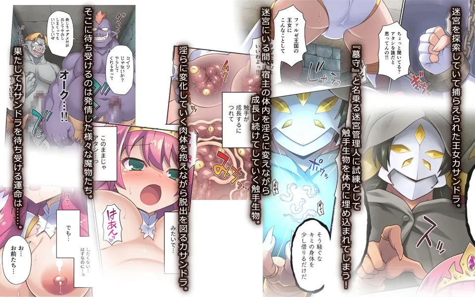 【王女 エロトラップダンジョン攻略】サクリファイスプリンセス～発情快楽器官へと改造された勇ましき王女～