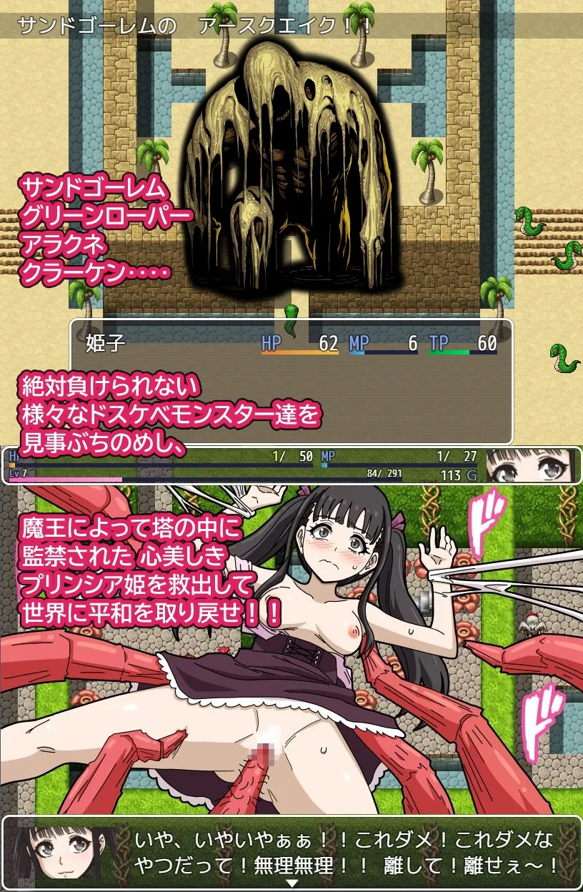 【モンスター姦・異種姦 エロRPG】姫子RPG