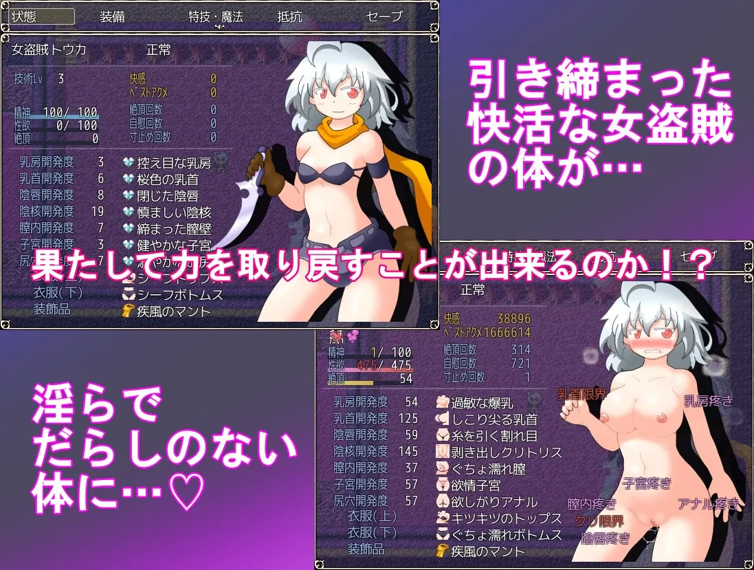 【女盗賊性感開発エロRPG】淫疼七宝