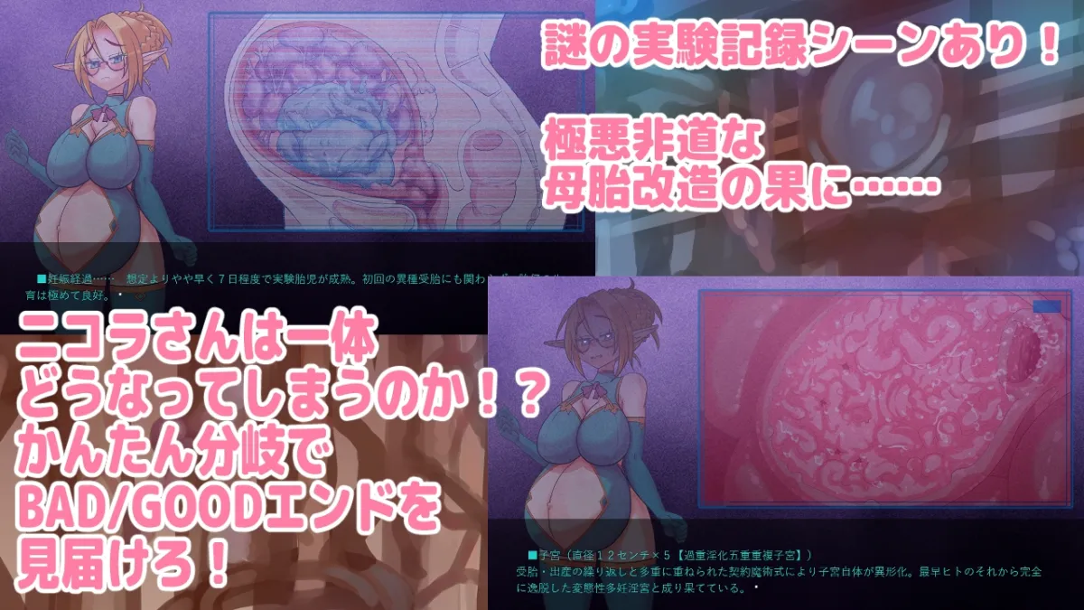 【エルフ異種姦孕ませエロノベル】モラスの胎洞