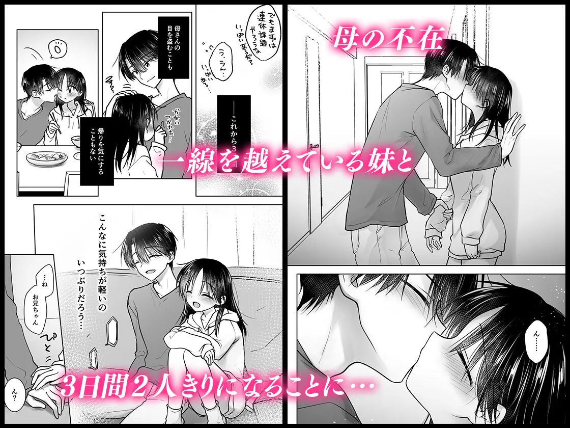【兄×JK妹 近親相姦】三日三晩、兄妹ふたりぐらし