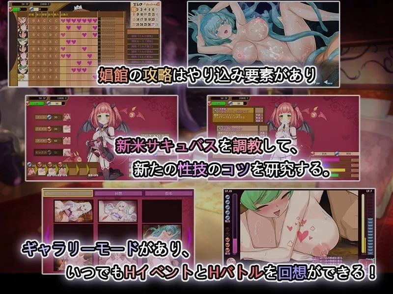 【異種族娼館経営エロシミュレーションゲーム】異世界娼館ロード【三種類言語統合版】