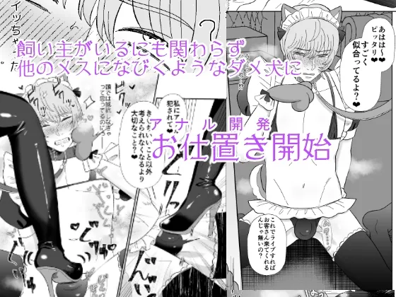 【女性優位・男性受け・逆転なし】マゾが大好物なおねぇさんのアナル調教。 【女性優位・男性受け・逆転なし】マゾが大好物なおねぇさんのアナル調教。