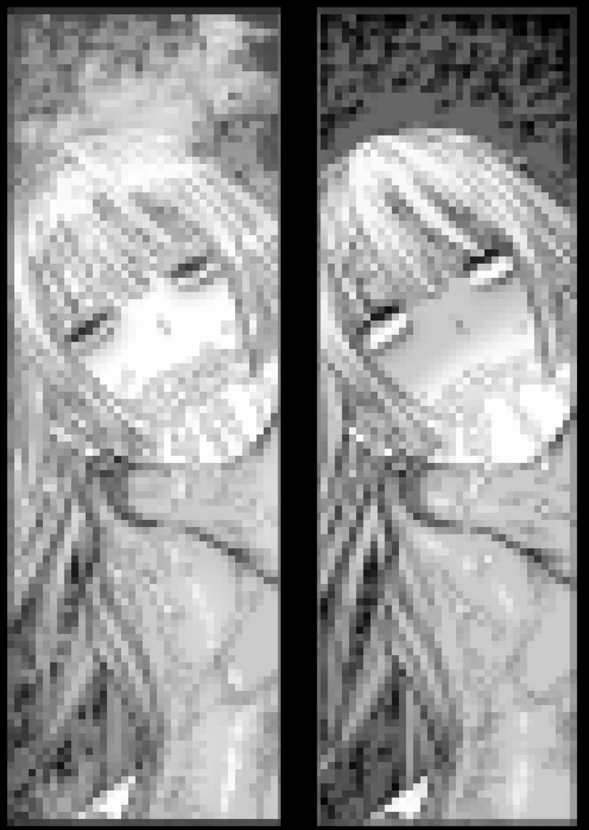 【触手】M3:DOMINATE 肉体と心を支配されたヒロインの末路 【触手】M3:DOMINATE 肉体と心を支配されたヒロインの末路