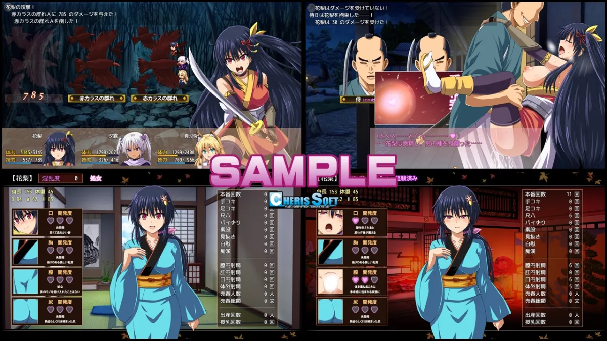 【お江戸ファンタンジーエロRPG】くノ一花梨 【お江戸ファンタンジーエロRPG】くノ一花梨