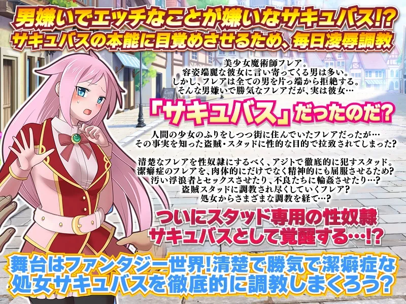 【サキュバス監禁調教凌辱エロADV】男嫌いで潔癖症のサキュバスをザーメン中毒肉便器に目覚めさせてあげよう