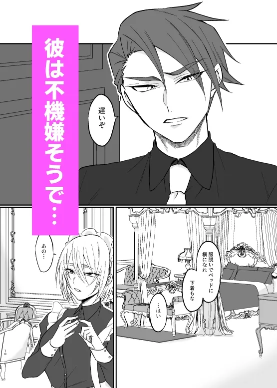 新人メイドは俺様主人に愛し尽くされます 新人メイドは俺様主人に愛し尽くされます