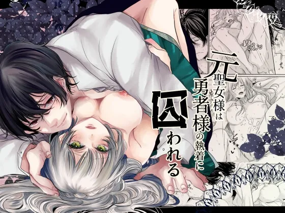 【勇者×元聖女 睡眠姦】元聖女様は勇者様の執着に囚われる