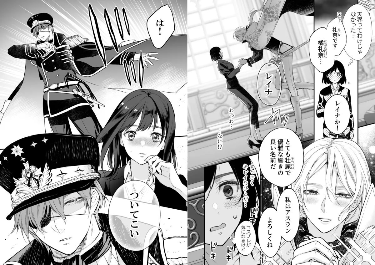 【ドS親衛隊長×異世界転生ヒロイン】クロスプリンス ギルフォート編 【ドS親衛隊長×異世界転生ヒロイン】クロスプリンス ギルフォート編