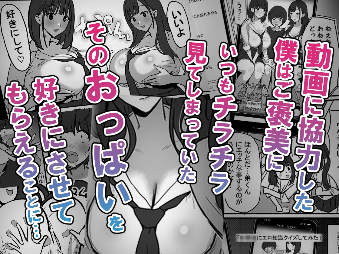 【TikTokerJK×ショタ おねショタ】お姉ちゃんの友達のJKティックトッカ―にたくさんパイズリされる本