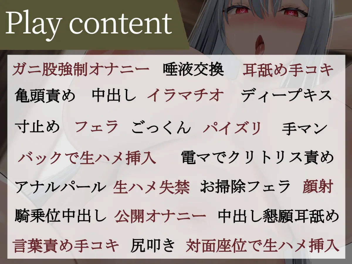 【CV:秋山はるる】超武闘派!軍国家の新元帥ダウナー巨乳を犯し犯される【イラスト:oekakizuki】