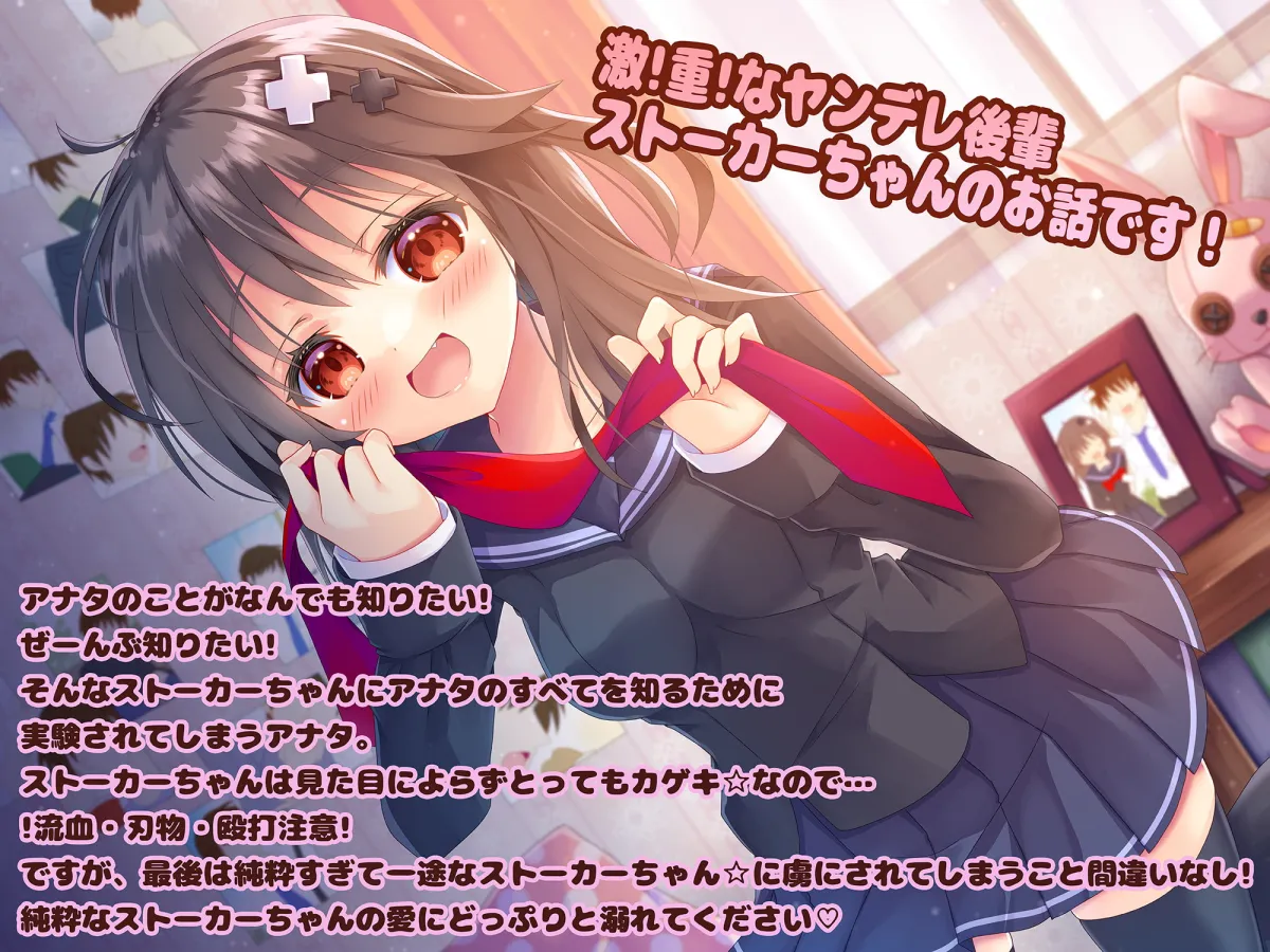 【CV:真白真雪】【激重】熱烈☆ストーカーちゃん!~壊れた女の子はスキですか?~【暴力表現流血有】 【CV:真白真雪】【激重】熱烈☆ストーカーちゃん!~壊れた女の子はスキですか?~【暴力表現流血有】