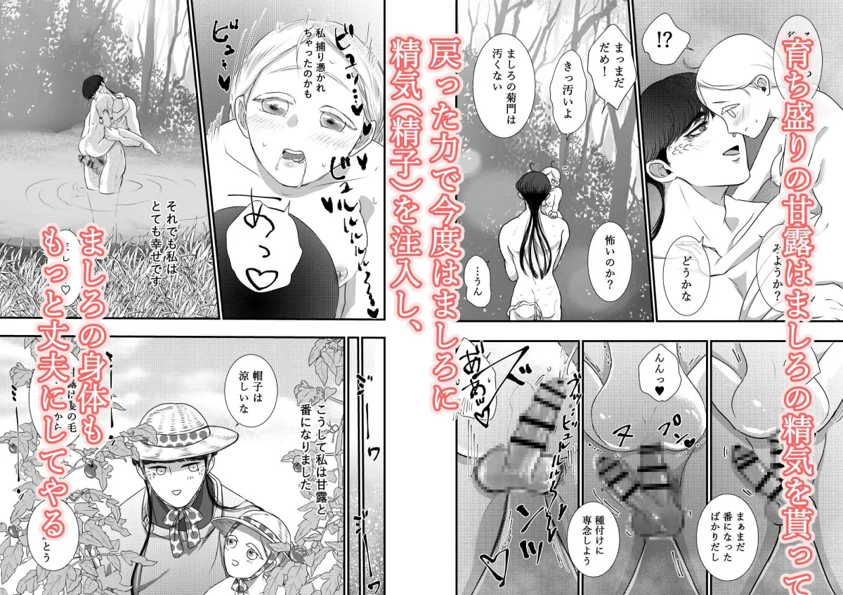 【龍×JK 異類婚姻譚】かんろとましろ 咲耶丸編