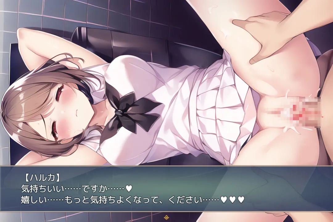 性交同意アプリ ～少子化対策委員会を名乗って女の子とエッチしよう！～