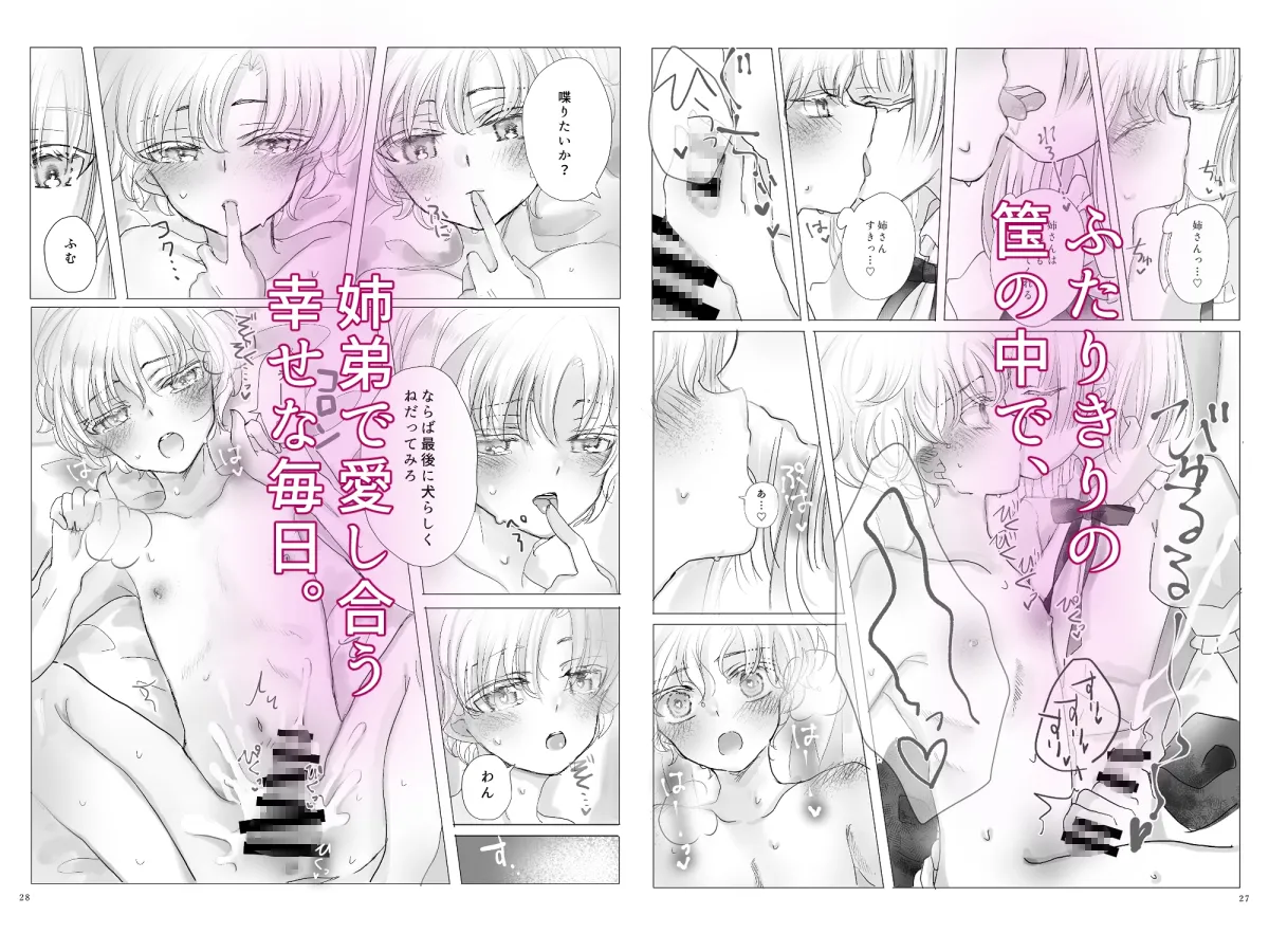 蝶番【姉×弟 女性攻め・男性受け 近親相姦】