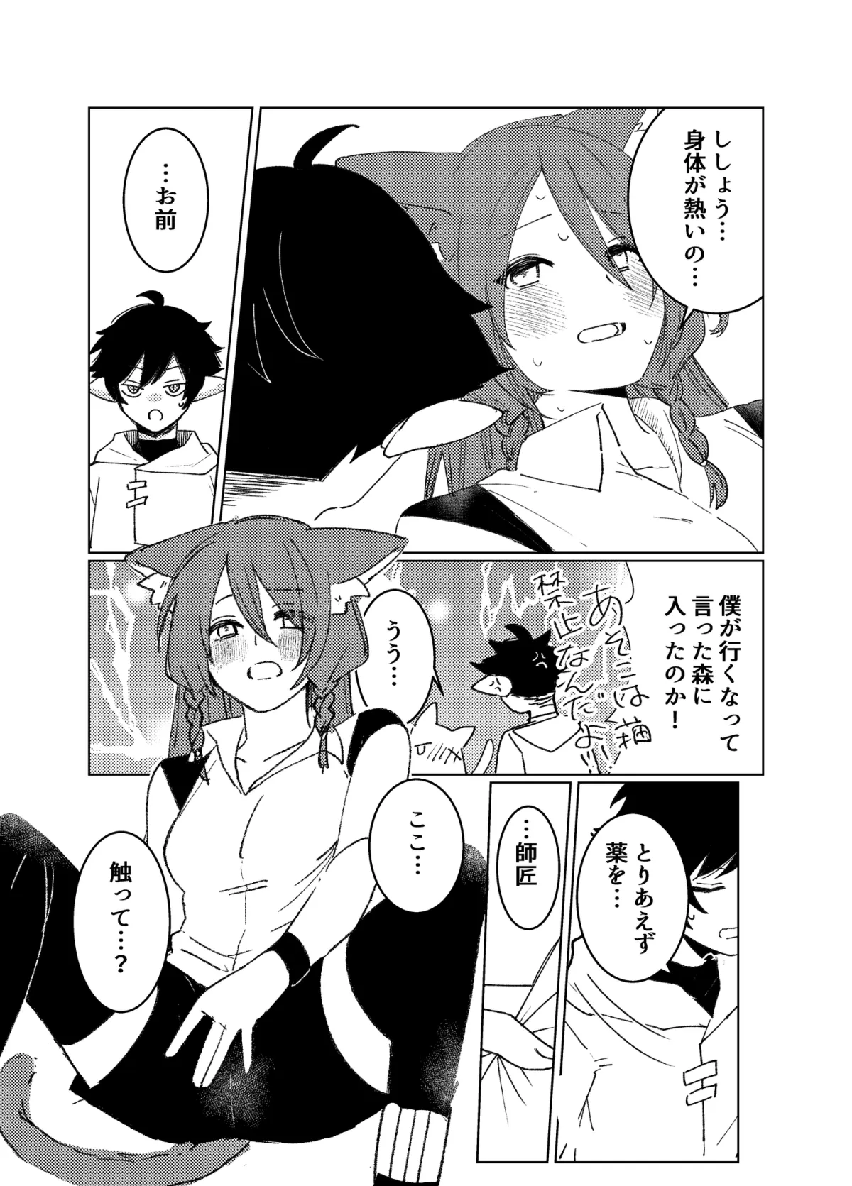 【ショタエルフ×メス獣人】星は夜明けと共に。