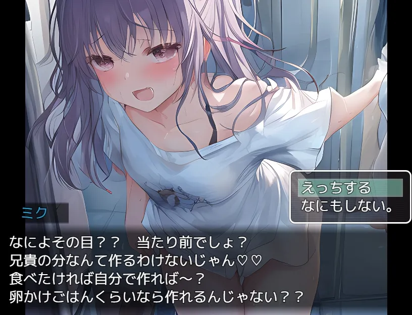 NPC姦～姫とJKと妹を犯せ～