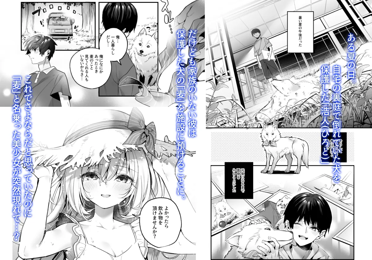 麦の恩返し-学生編- 麦の恩返し-学生編-