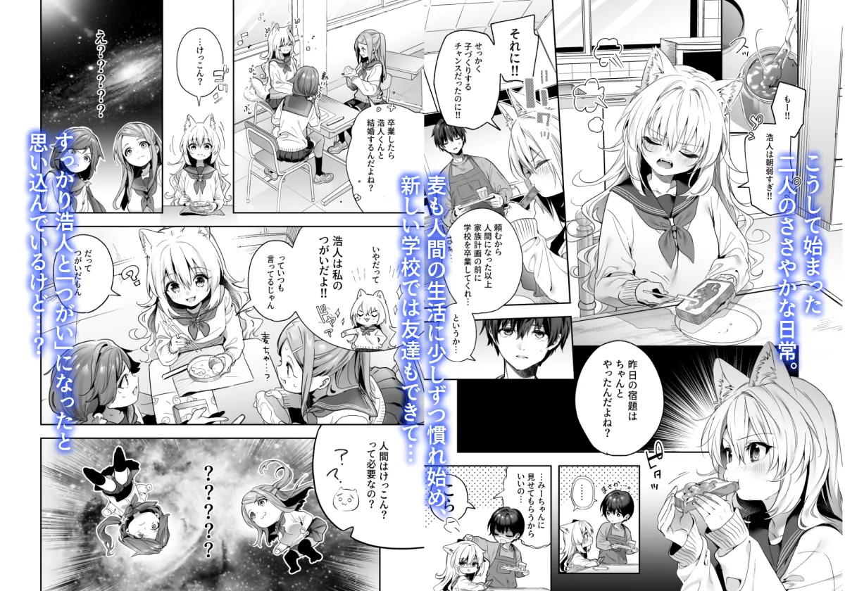 麦の恩返し-学生編- 麦の恩返し-学生編-