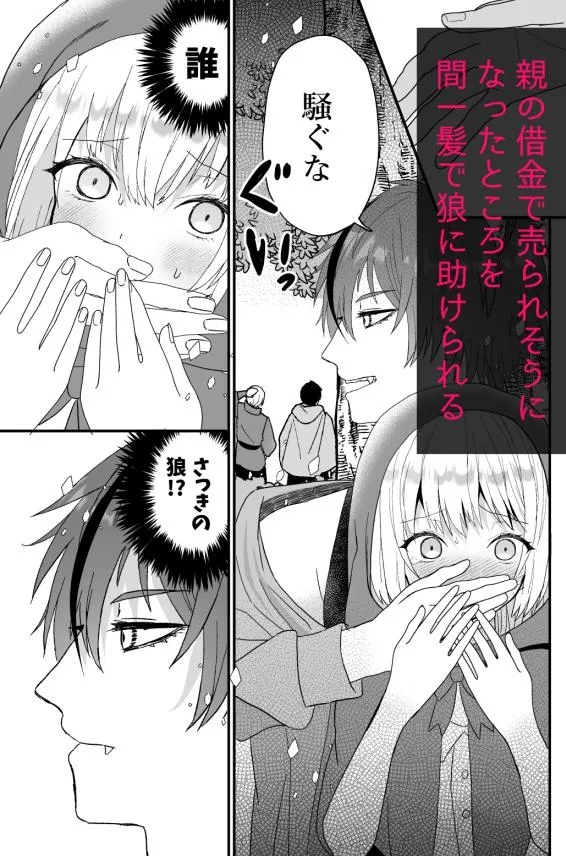 転生赤ずきんは人狼に狂愛される