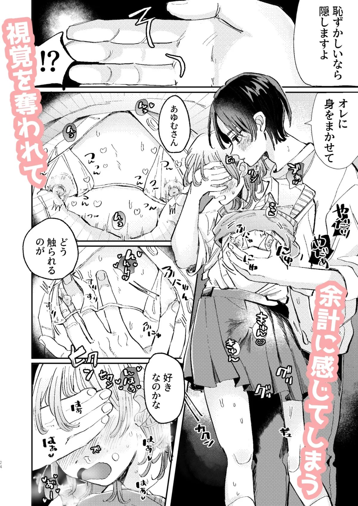 ヤリサーの姫くんのすべてを手に入れるまで